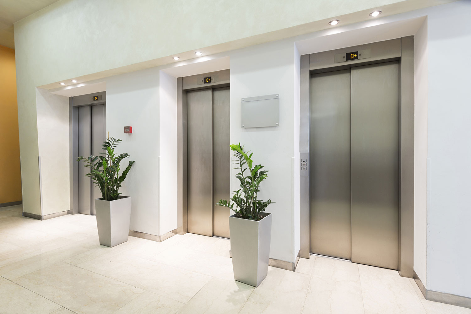 Elite Elevator modernization services in the Tampa Bay Area